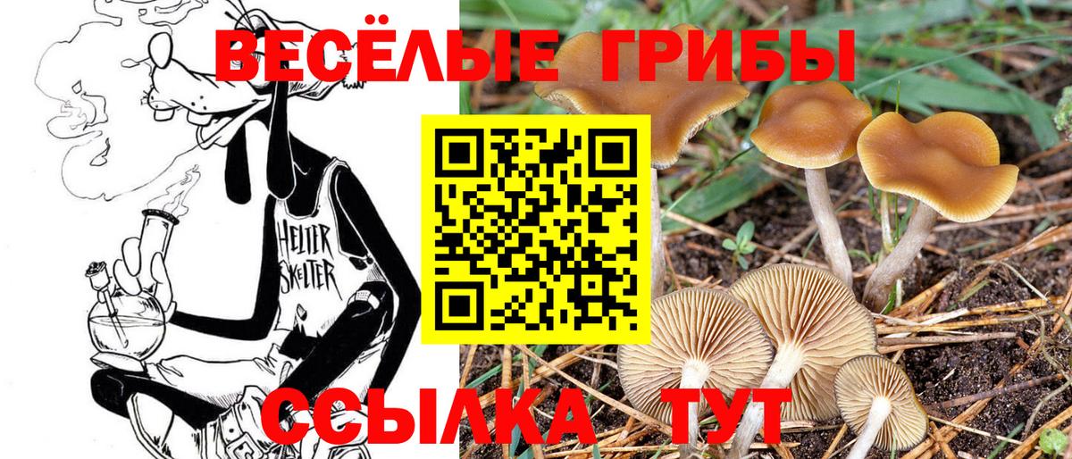 Березники  Псилоцибиновые грибы Magic Shrooms  где продают   Вход с VPN 